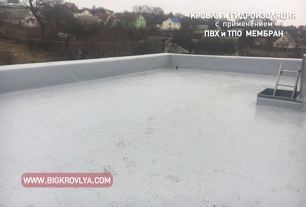 ivankovichi 15