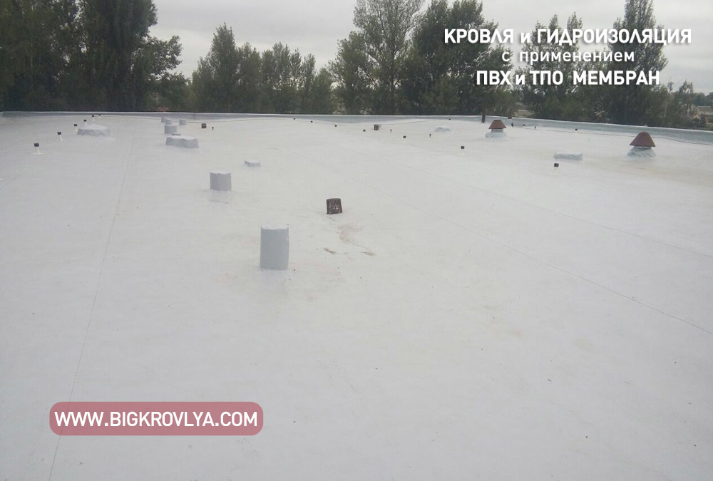 jutomir 10