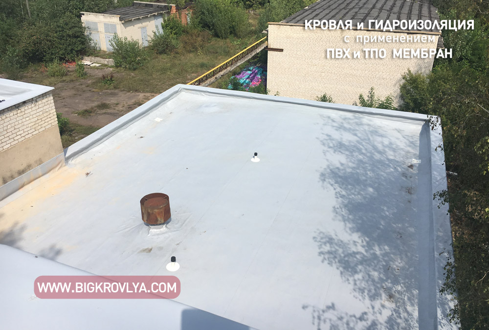 jutomir 14