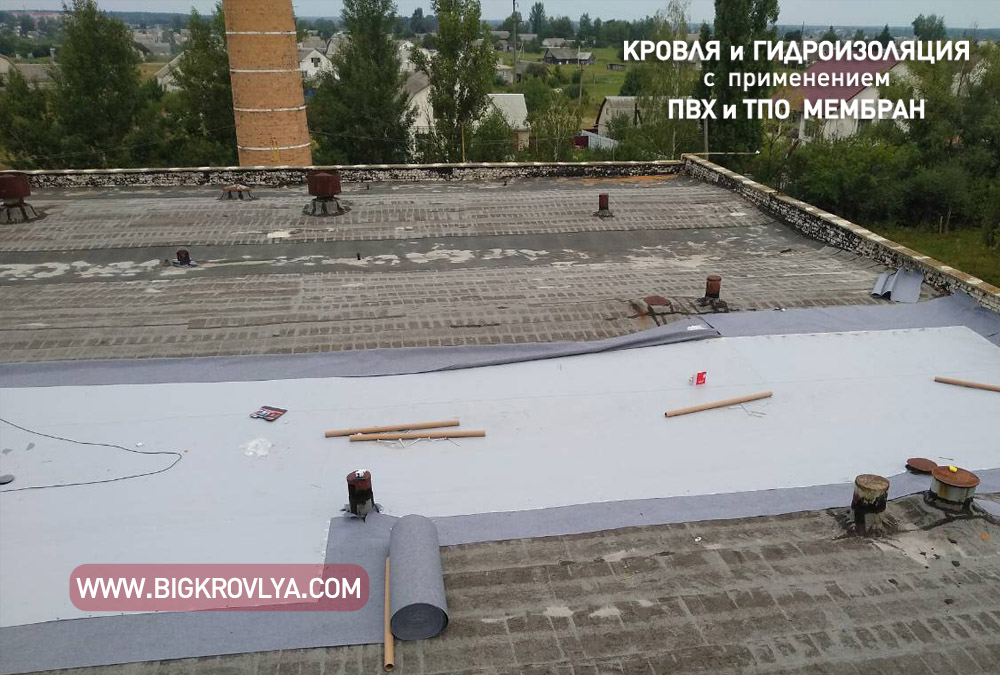 jutomir 5