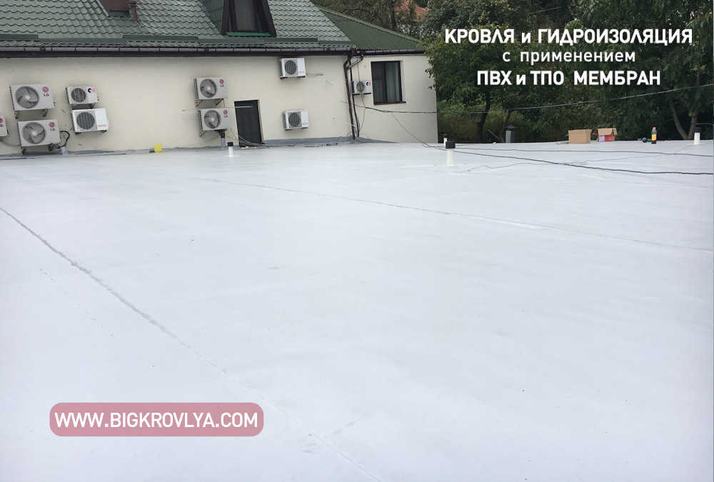 kanev 10